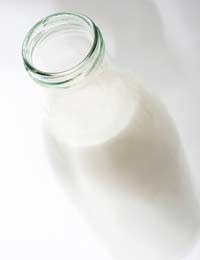 Lactose Lactase Milk Dairy Intolerance