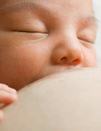 Breast Feeding Breast Milk Formula
