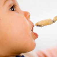 Weaning Feeds Tastes Nutrition Water