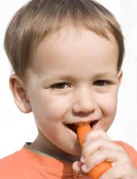 Vegetables Toddlers Food Eating Healthy